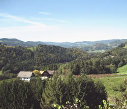 Rund ums Haus